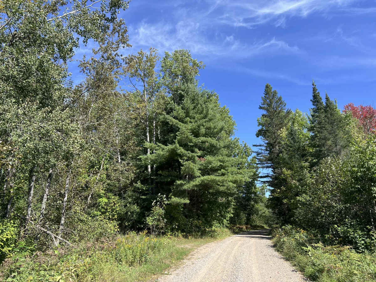 Rat River Road - FS 2134 photo 5