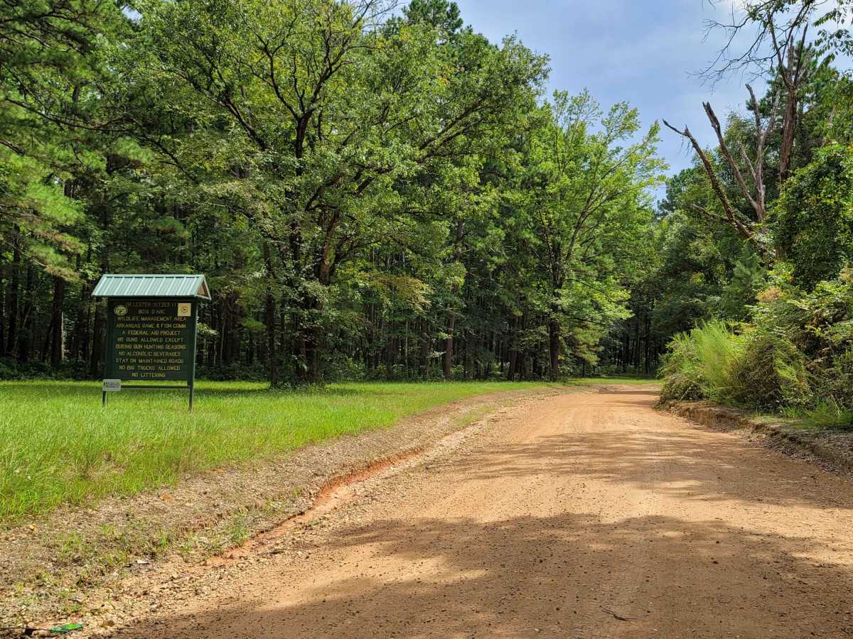 Bois d'Ark Trail back to Interstate 30 photo 3