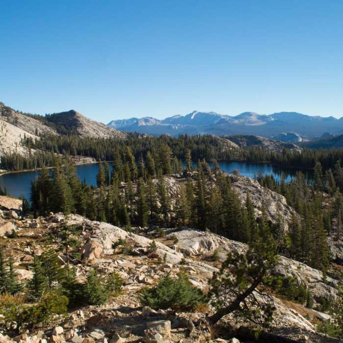 Near Mount Hoffmann Hike