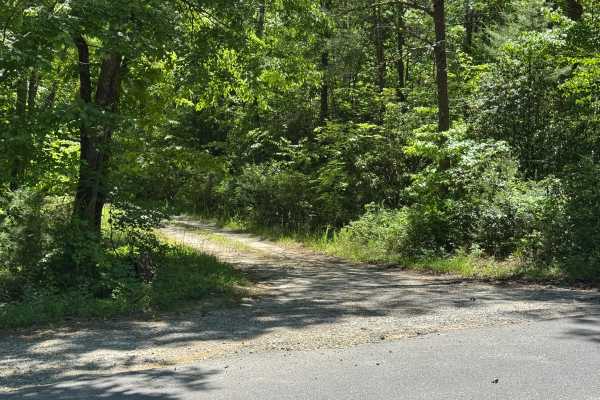 Laurel Branch - FS 322