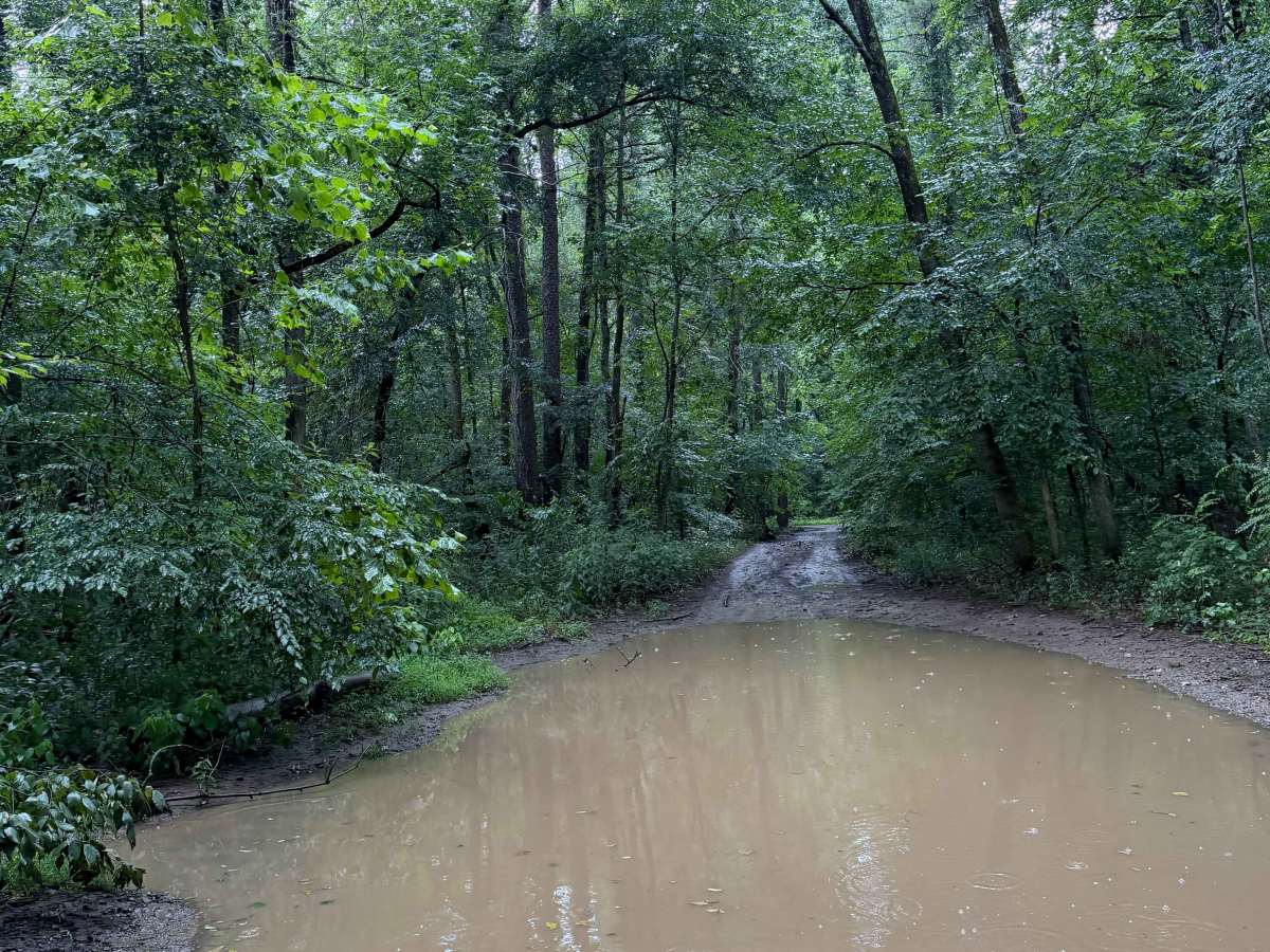 Bayou Run photo 2