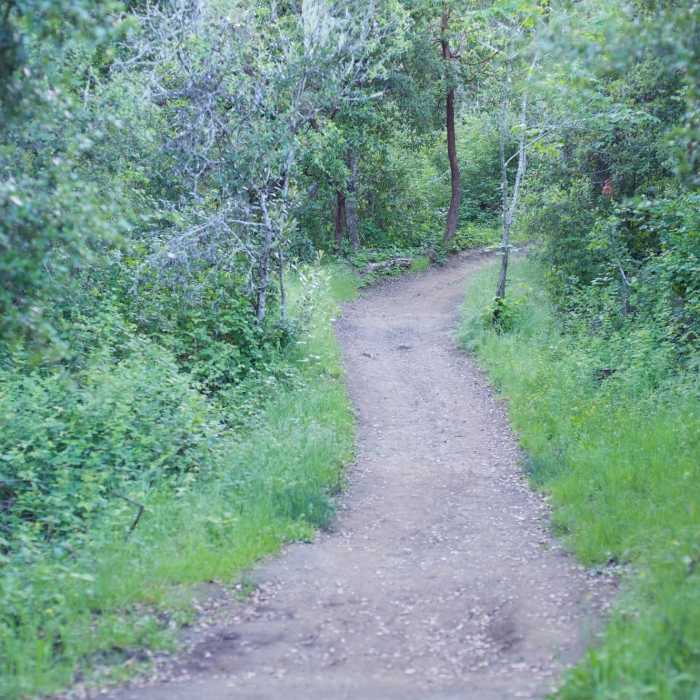 Near Toyon Trail