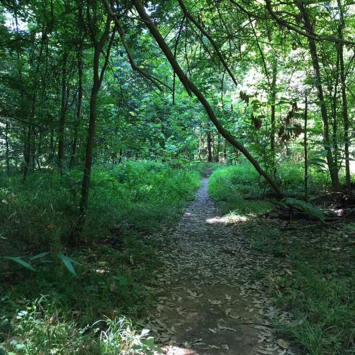 Near Weston Lake Loop