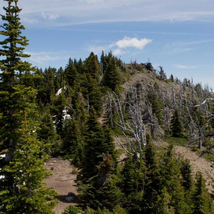 Near Lookout Mountain from High Prairie