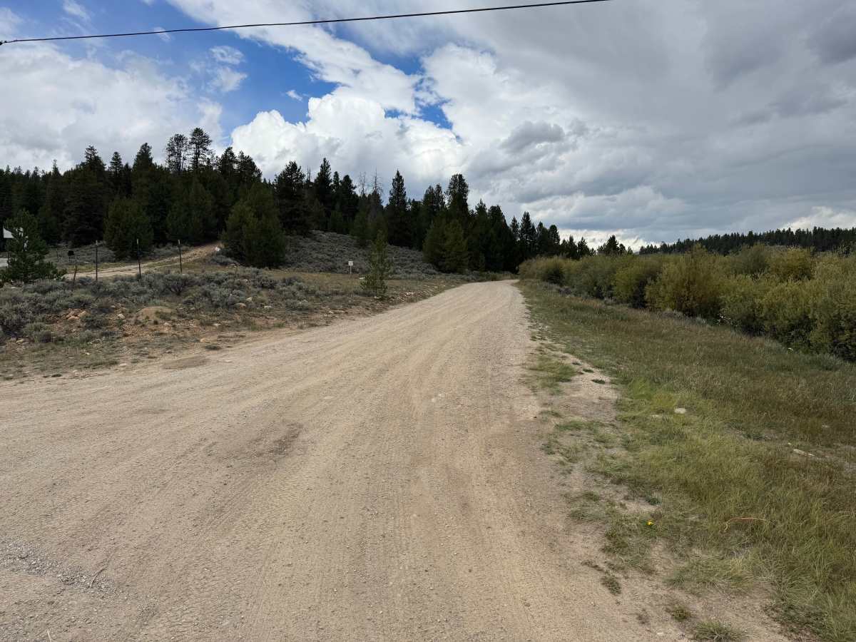 Tennessee Creek Road trail photo