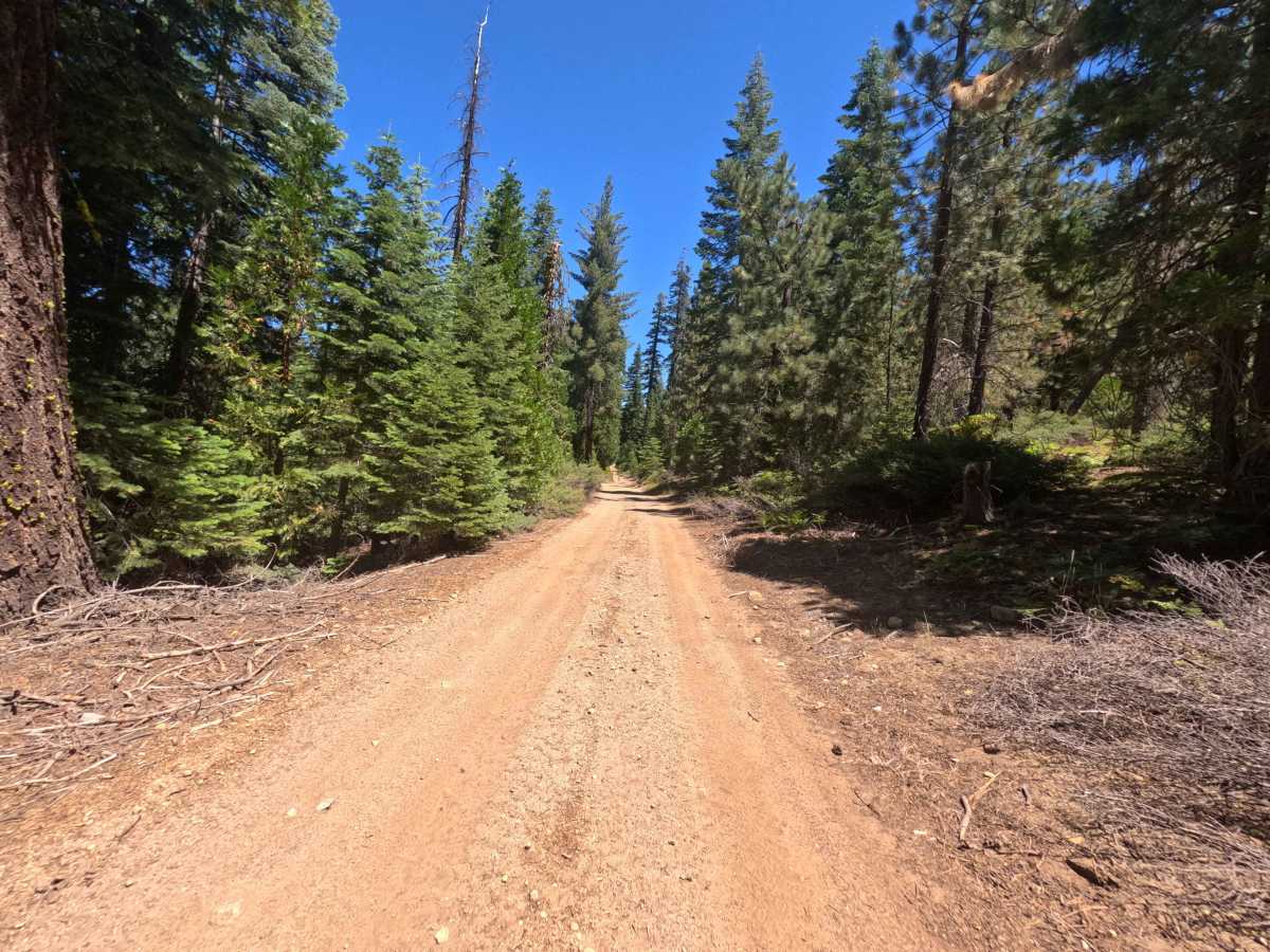 Penstock Road - FS 8N12 photo 4