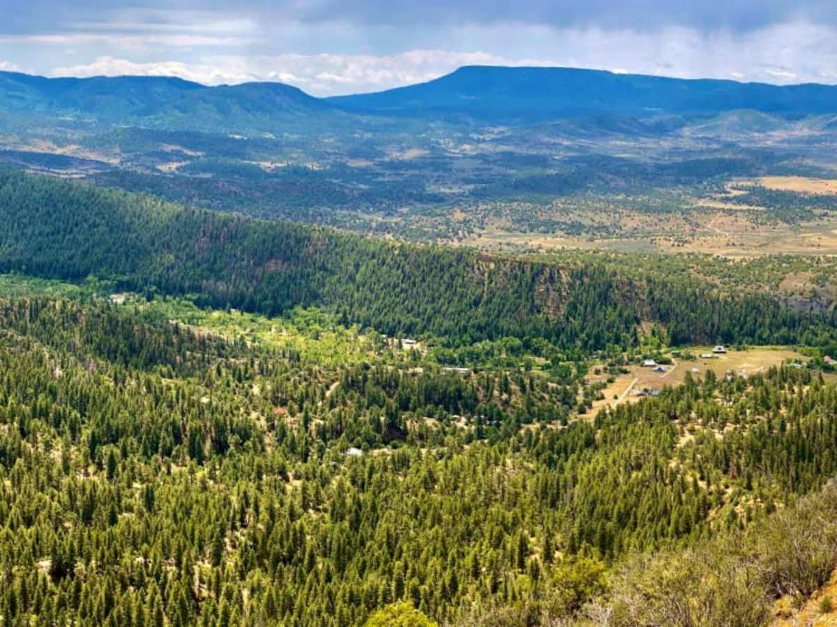 Eight Mile Mesa E-USFS Rd #651E photo 2