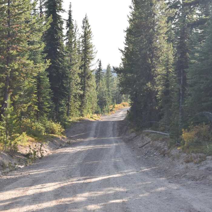 Near Ch-paa-qn (Reservation Divide Trail)