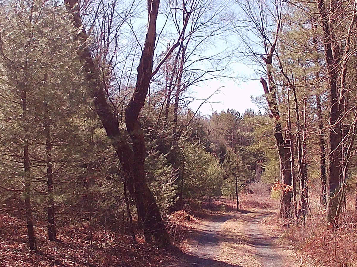 Smays Run Trail photo 4