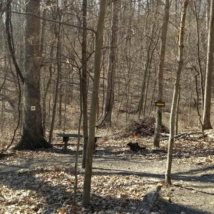 Trail signs and bench at the bottom of the hill in the valley Near Turtle Bob's Trail