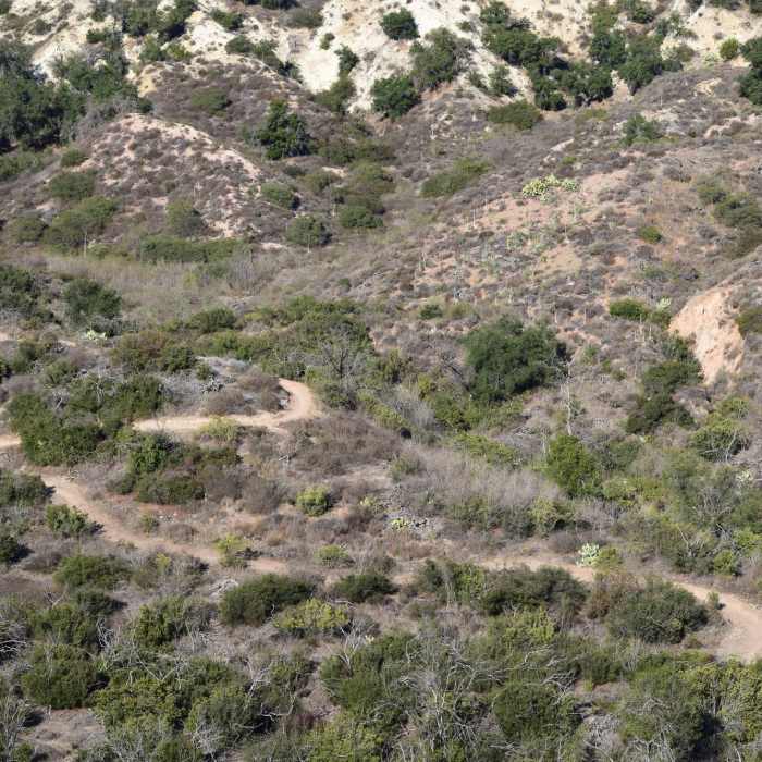 A picture of Cactus Hill Trail from a higher elevation. Near Whiting Ranch 20k
