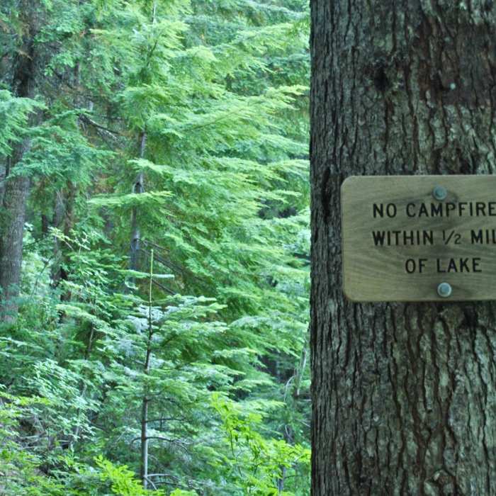 Near Paradise Park Loop