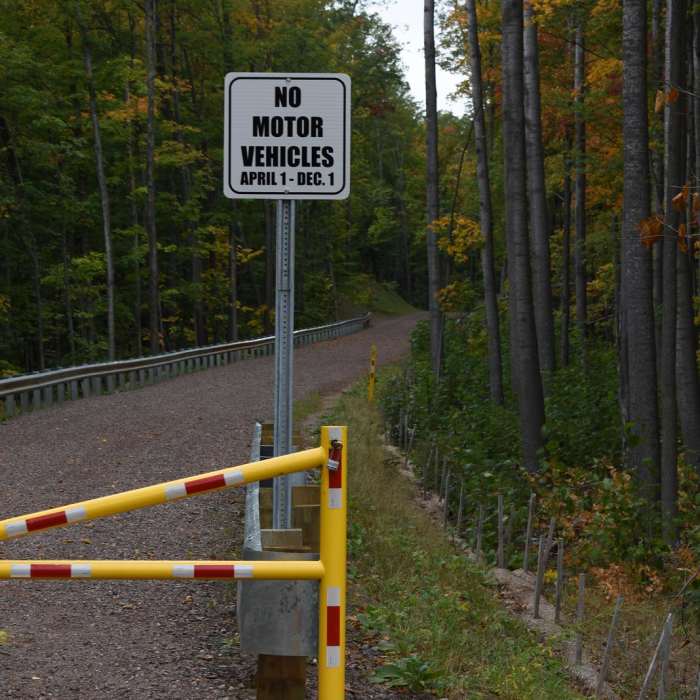 Near Morgan Falls Hike Near Morgan Falls Hike