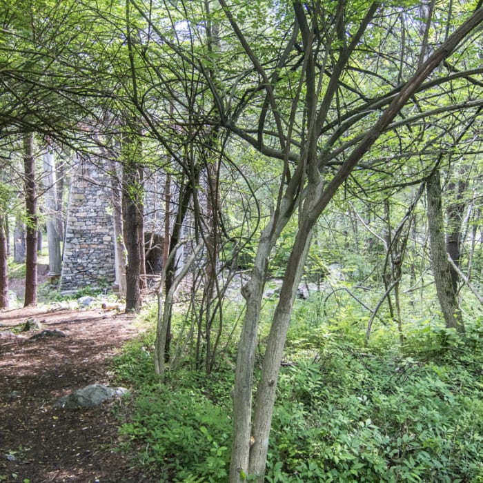 Near Lakeville Ironworks Trail