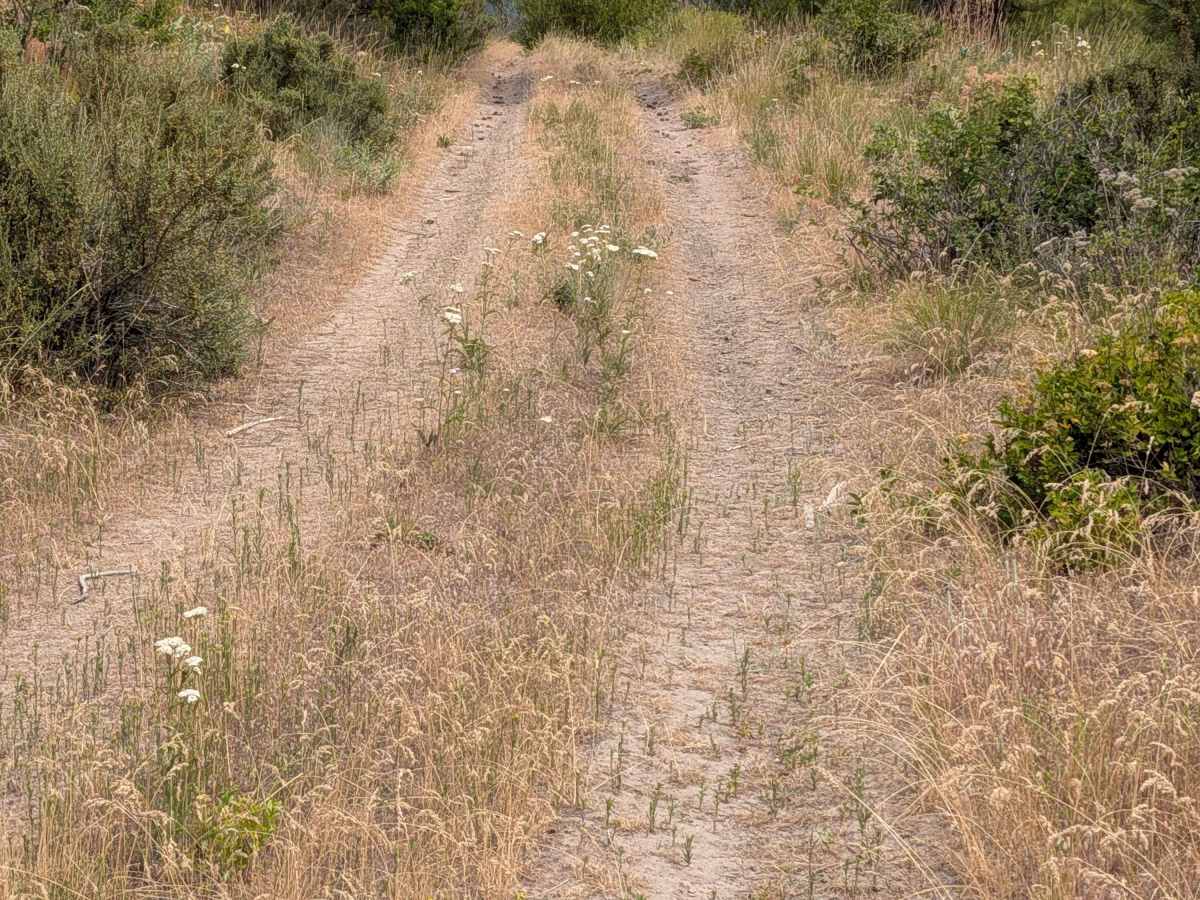 E332433E trail photo