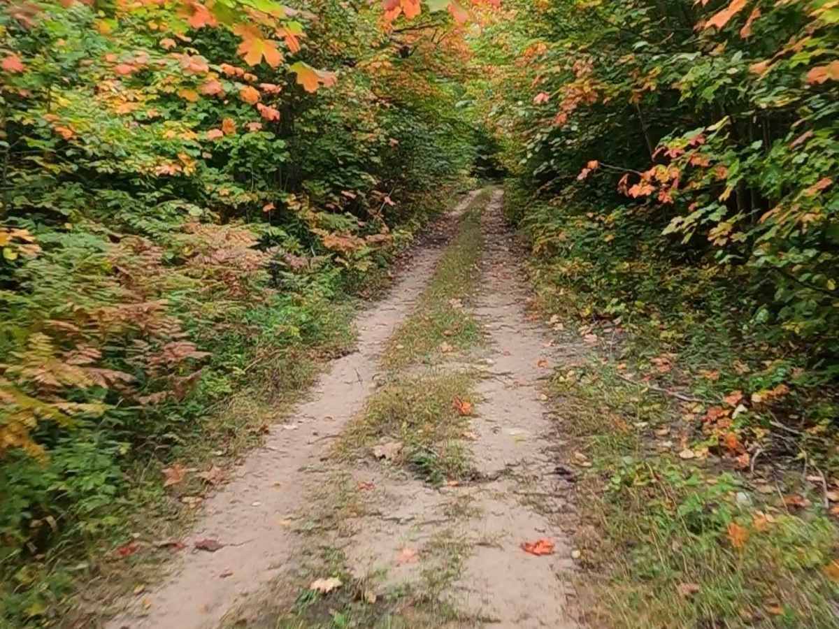 Weasel Truck Trail  trail photo