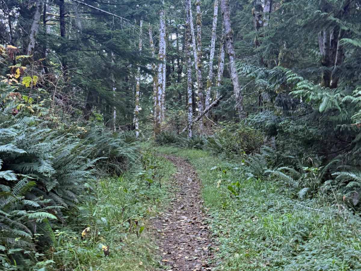 Upper Swanson photo 3