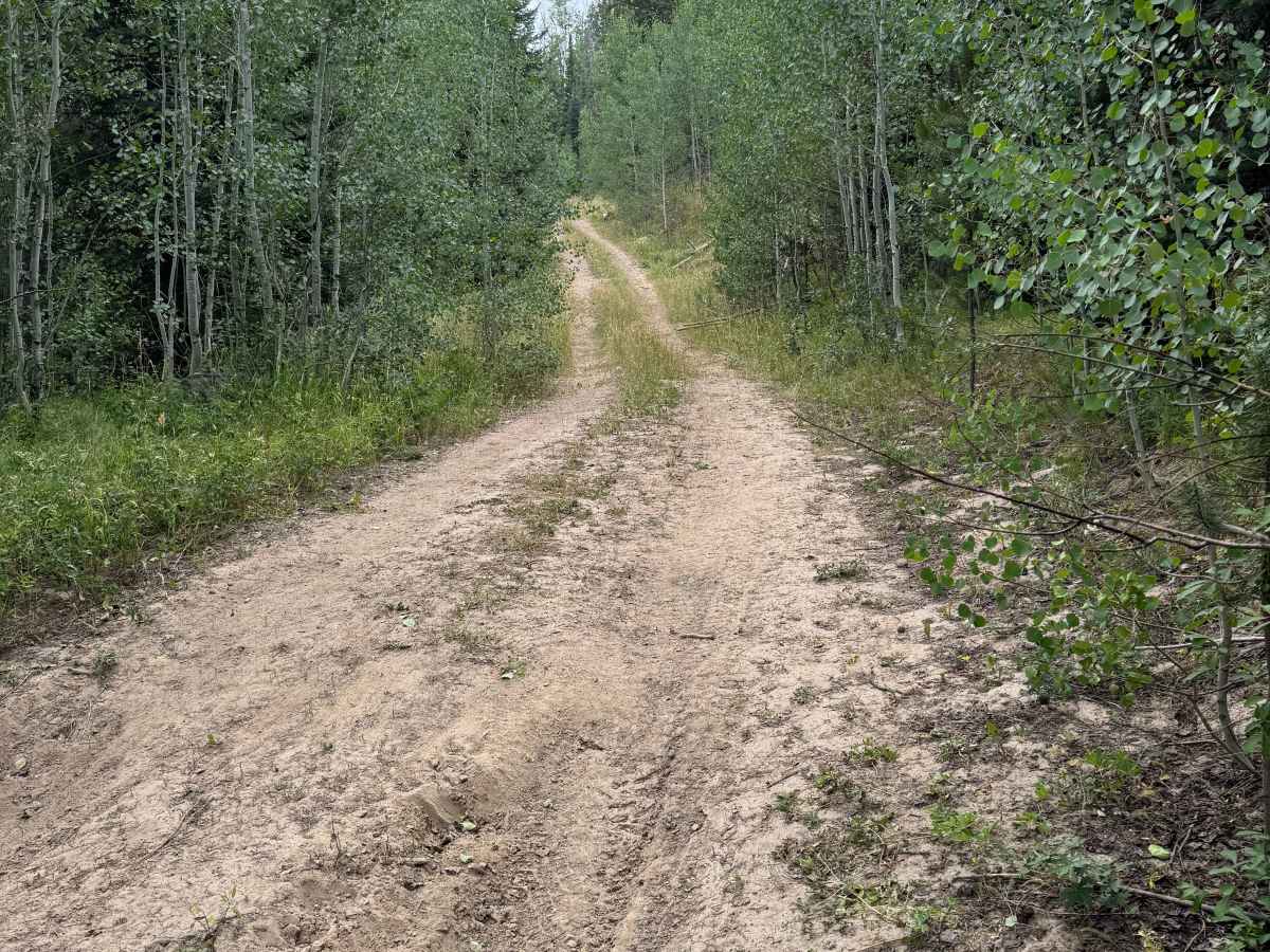 Mill Creek Road - FS 469 photo 4