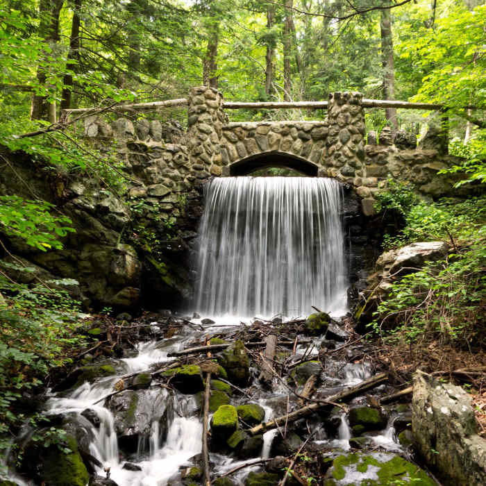 Near Virginia Woods Loop