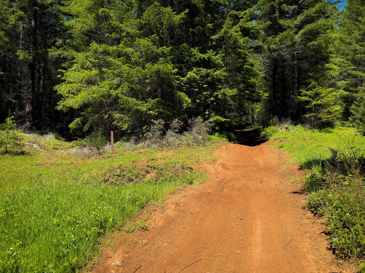 201 trail photo