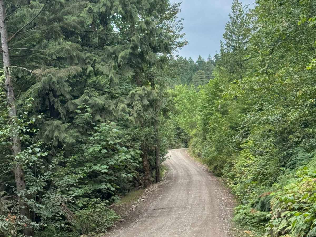 Weaver Lake - 1500 photo 2