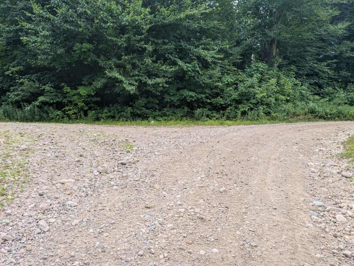 Goldmine Trail trail photo