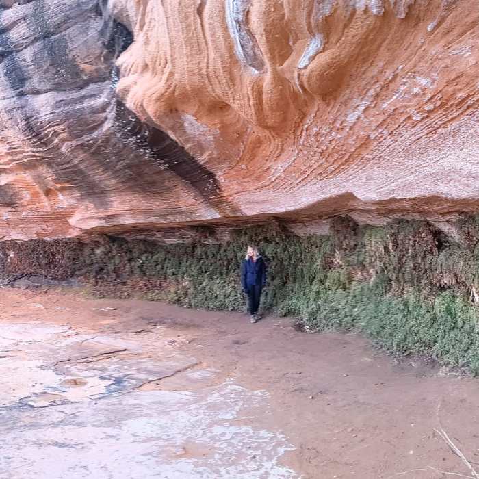 Near Hanging Gardens