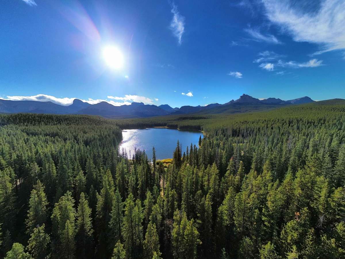 Margaret Lake trail photo