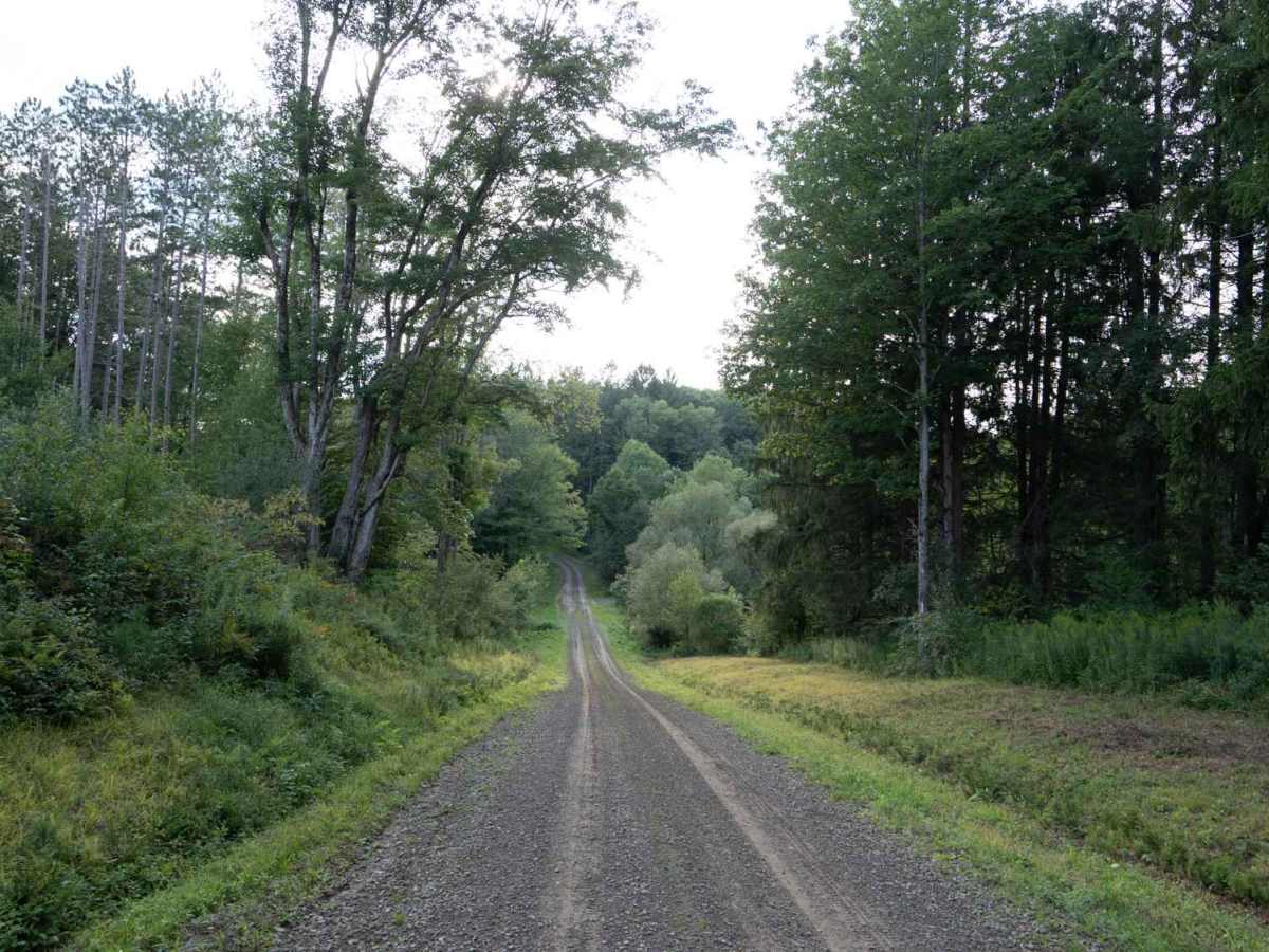 Briggs Road photo 5