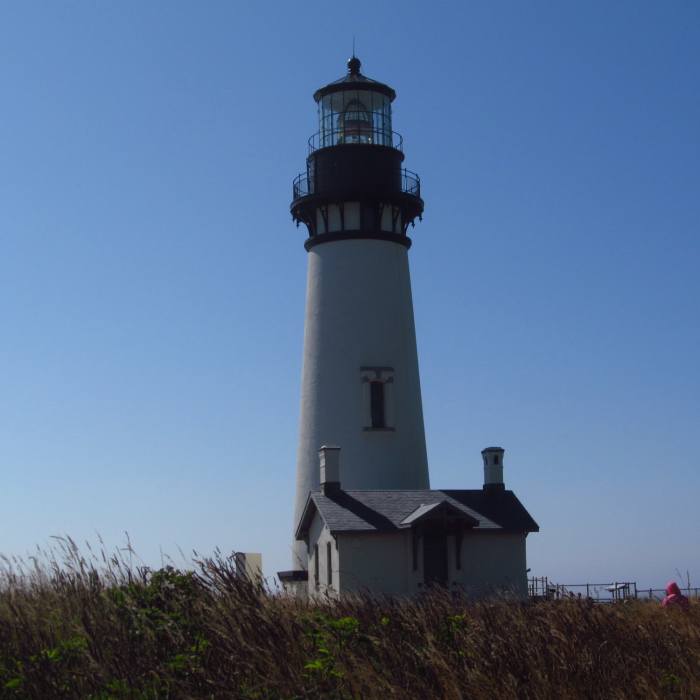 Near Yaquina Head Lighthouse Trail