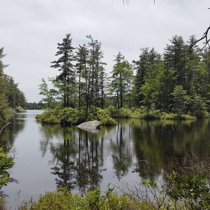First lake you encounter on the trail. Take a little side trail for a good view. Near Pisgah State Park Ridge Loop