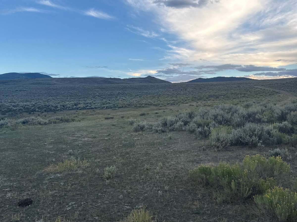 Mountain View Road trail photo