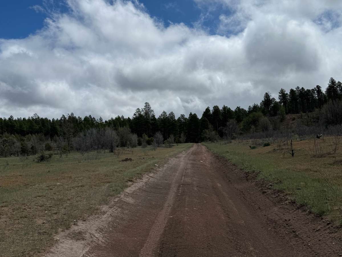 Bear Canyon - FS 131 photo 5