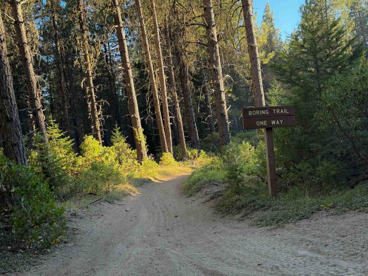 Boring Trail   trail photo