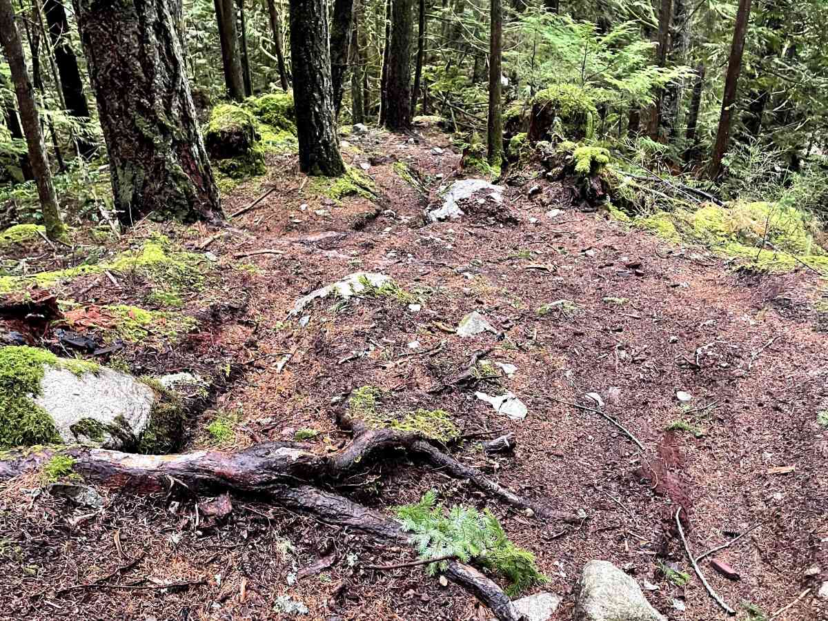Beggers Gulch Connector photo 5