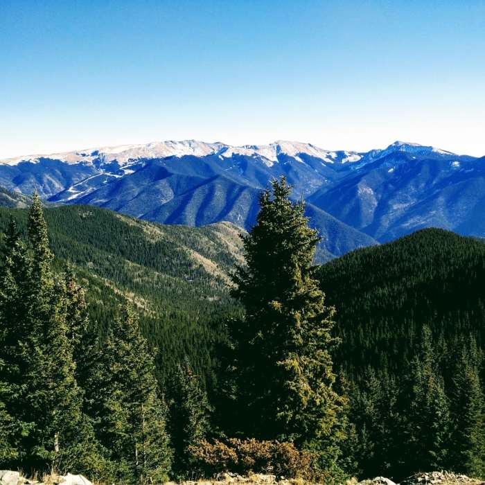 Near Yerba Canyon Trail #61