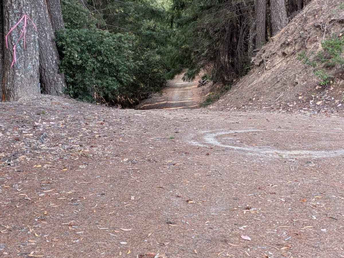 Kerlin Creek Road - FS 3N14 trail photo
