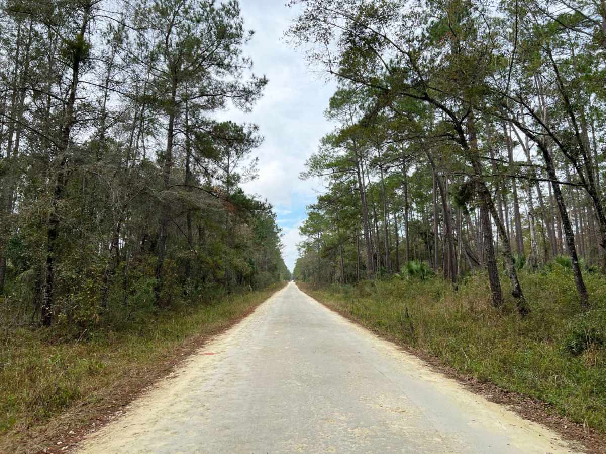 New River Road photo 3