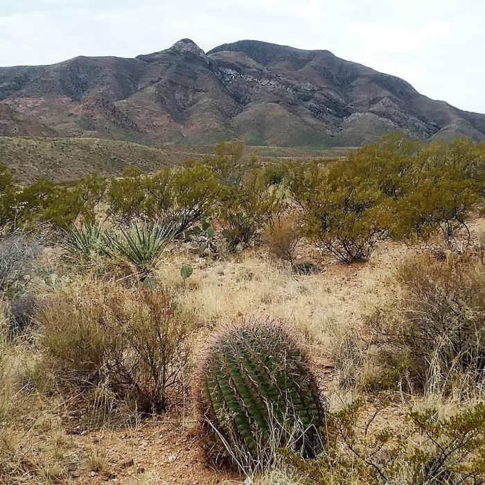 Near Old Tin Mine Road