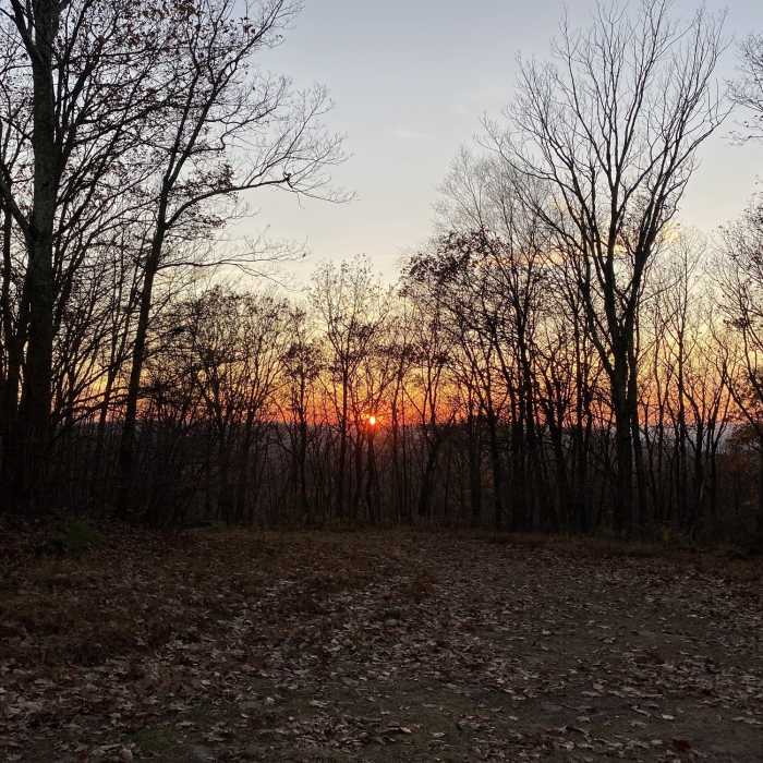 Near Broken Tip Loop Out and Back