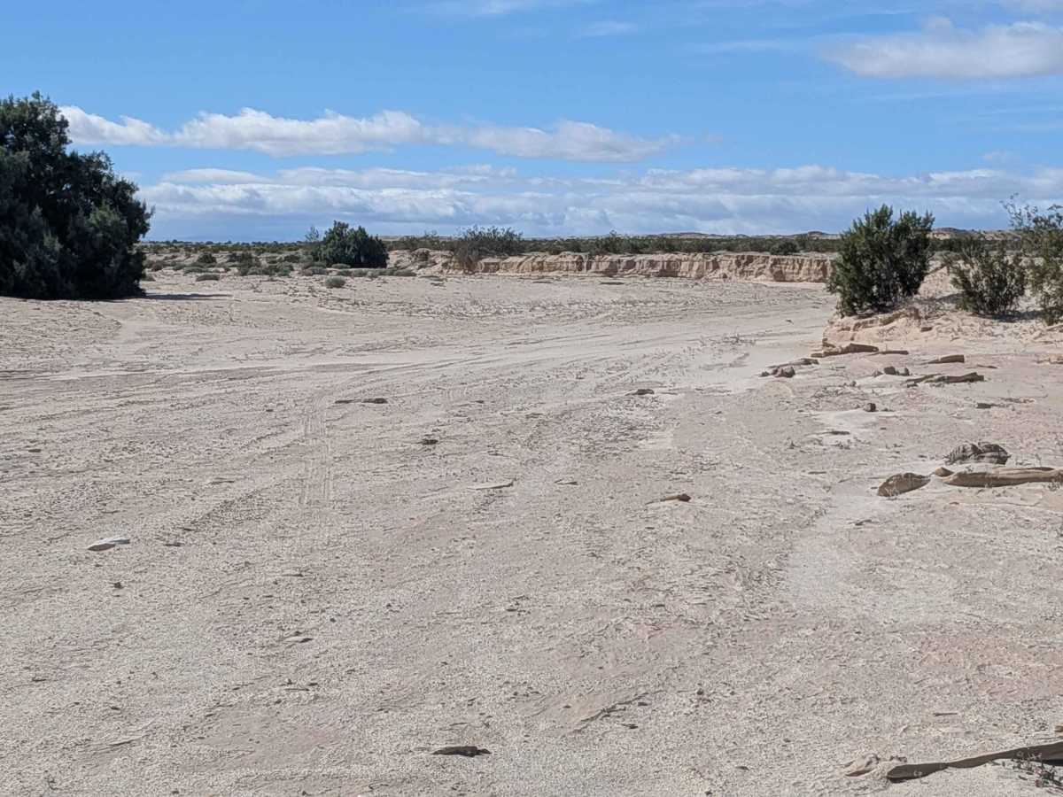 BLM 329 photo 2