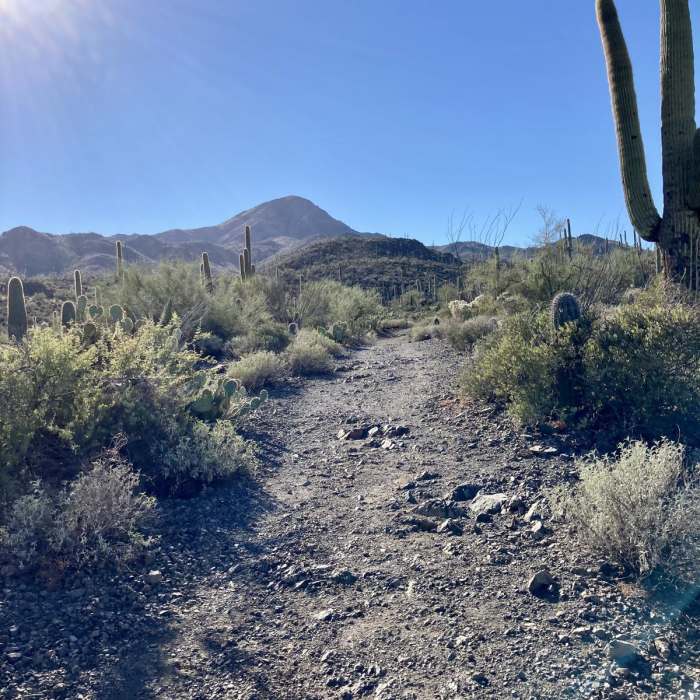 Near Thunderbird Trail