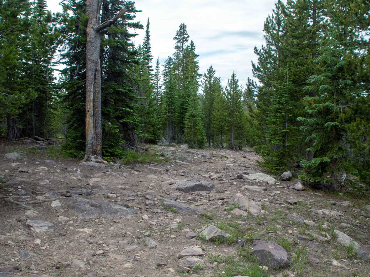Cobble Creek S14 - FR80949 photo 5