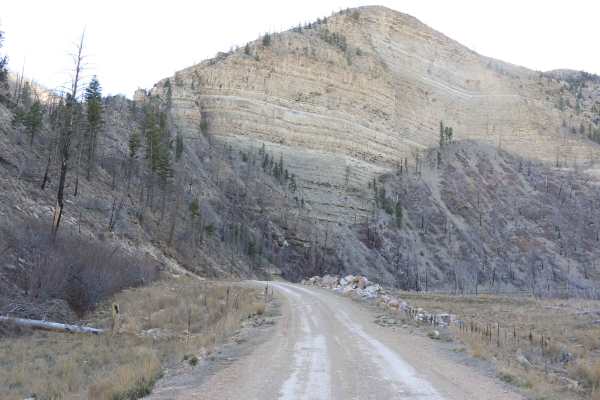 Strawberry River Road