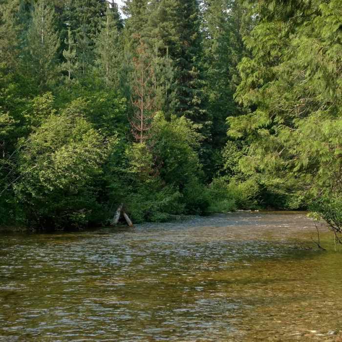 Near Idaho Trail #58