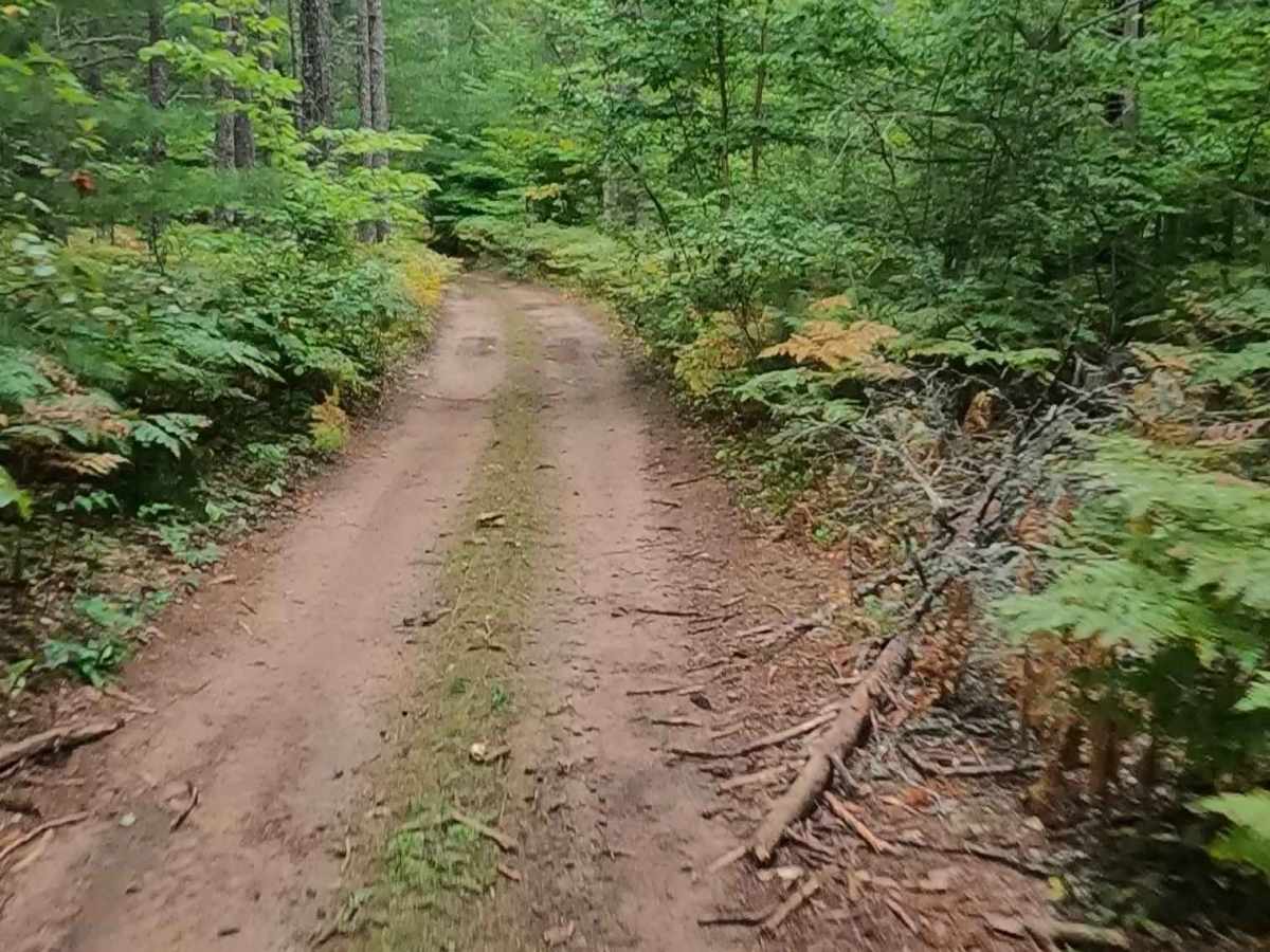 Hoop - FS 3059 trail photo