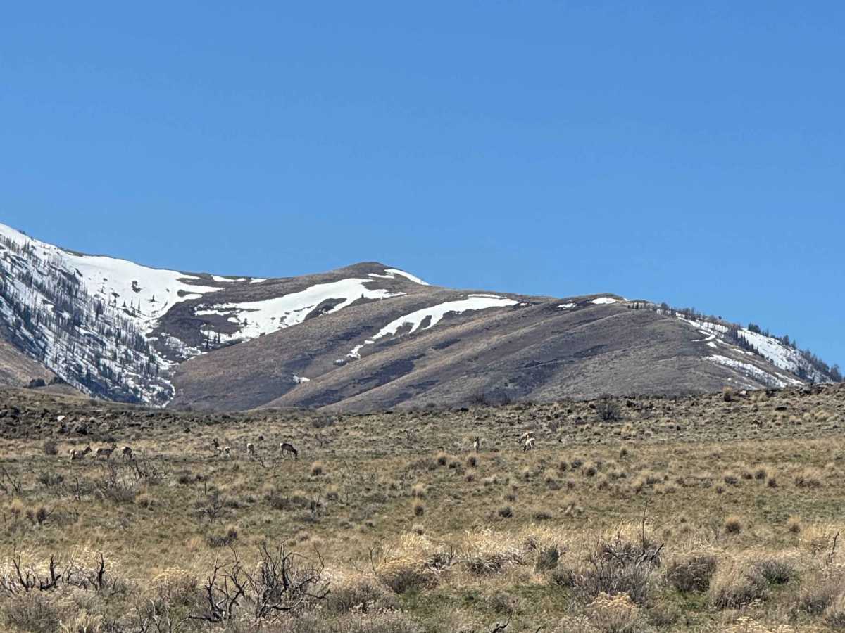 Trail Creek Road - FS 56729 photo 4