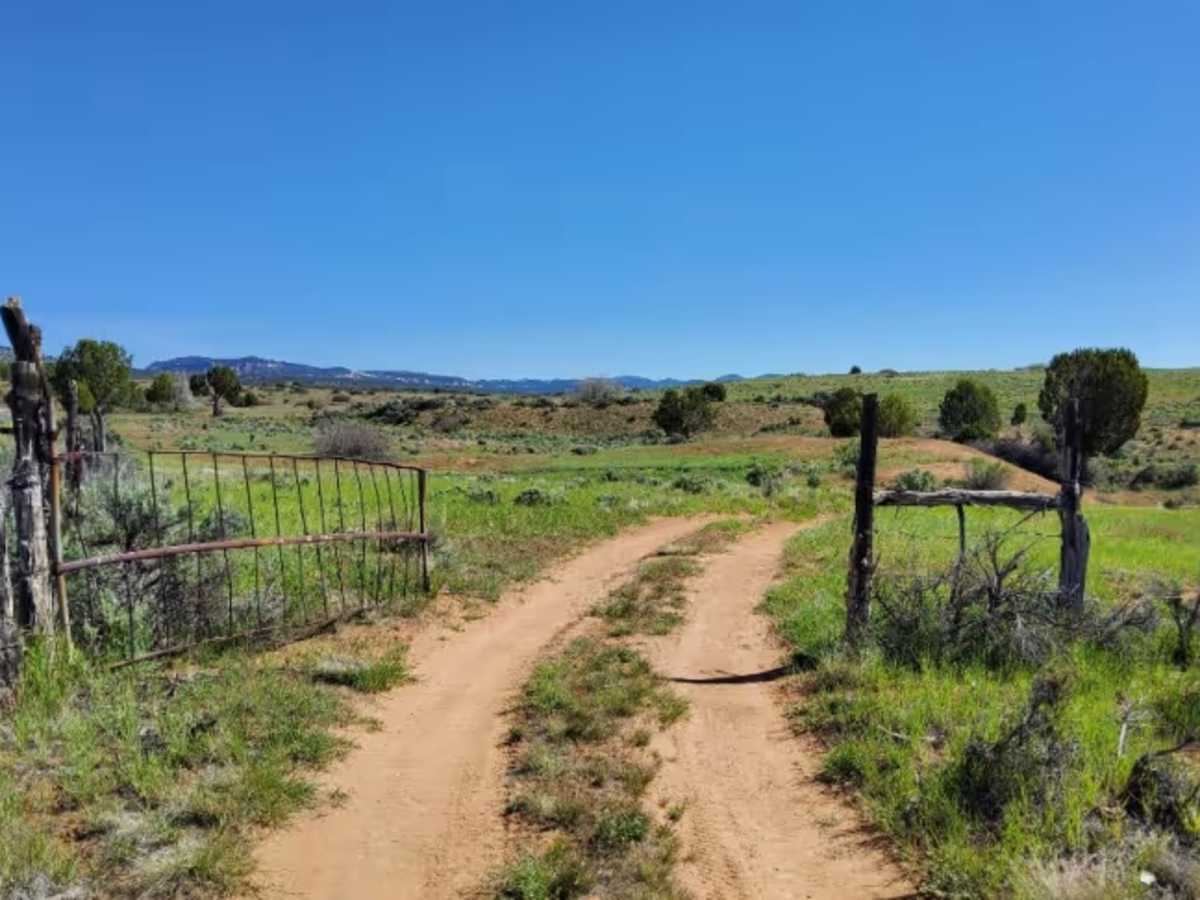 BLM 71 photo 4