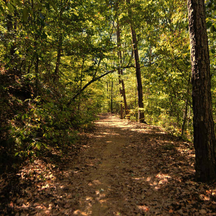 Iron Works Loop is a gorgeous trail through dense hardwood forests. Near Tannehill Ironworks Loop