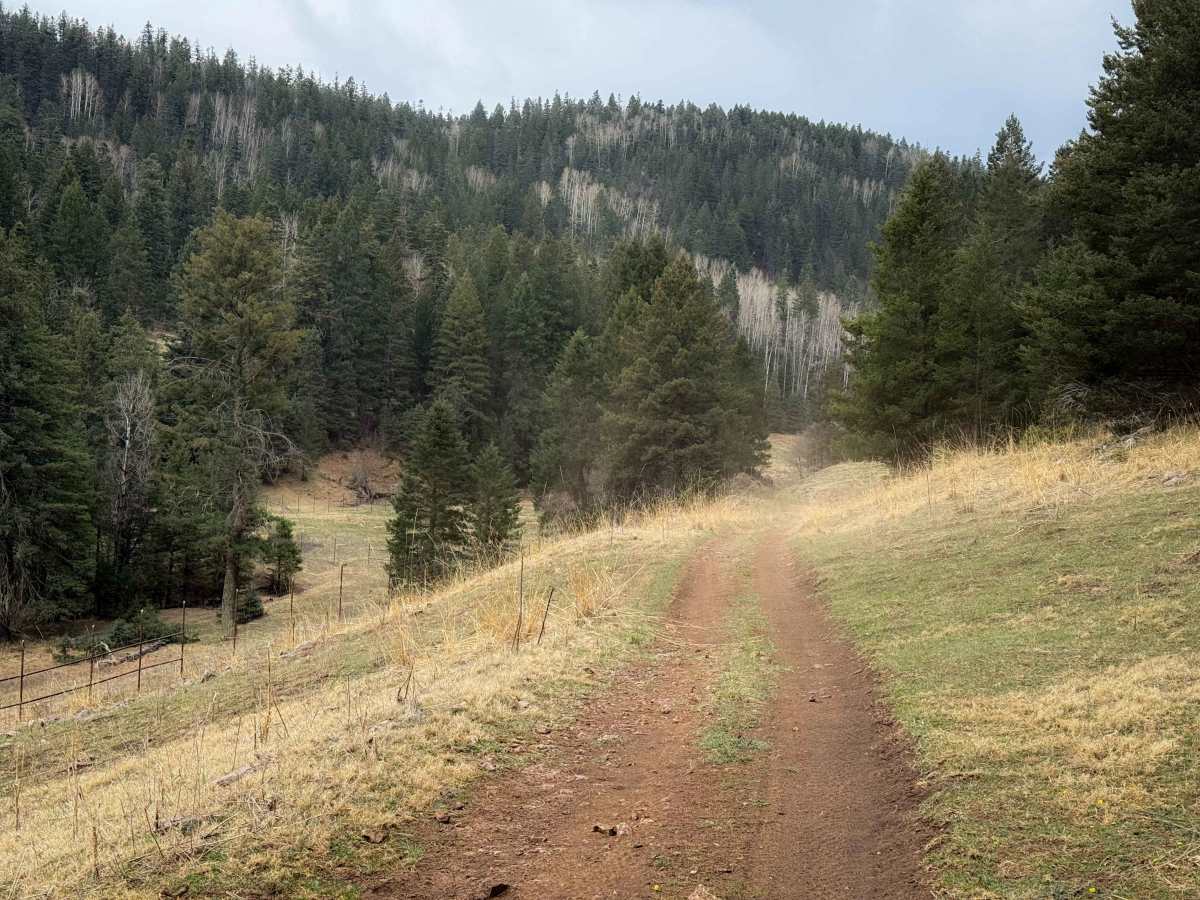Upper Wills Canyon - FS 9278  photo 5